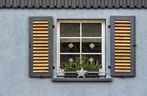 Floral Arrangement Photography Drucke: The Advent Window