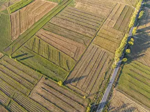 Farmland From Above Drucke: Aerial view, Cultivated fields