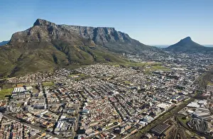 Drucke von Ein atemberaubendes Panorama über Kapstadt - der Devil's Peak, Table Mountain und Lion's Head schließen sich zu einem einzigartigen Landschaftsbild zusammen Berglöwe Drucke: Panoramablick auf Devil's Peak