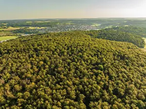 View From Above German Countryside Drucke: Aerial view of endless forests