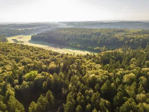 Central Europe Aerial Shot Drucke: Aerial view of endless forests
