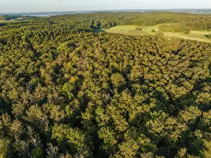 German Countryside Aerials Drucke: Aerial view of endless forests