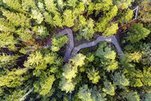 Black Forest Germany Landscape Drucke: Aerial view of a forest path from above