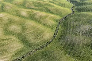 High Angle View Of Cultivated Area Drucke: Aerial view, Hilly fields in spring