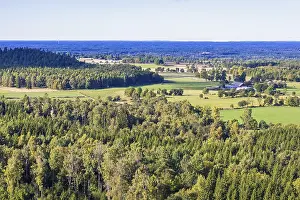 Landschaft mit Äckern, Bauernhöfen und Wald im Hintergrund, Schweden