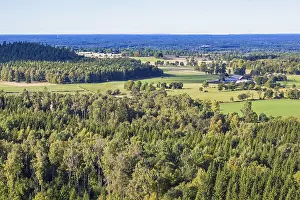 Schweden Drucke: Landschaft mit Feldern, Bauernhöfen und Wald im Hintergrund, Schweden