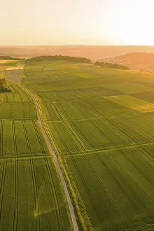 Evening Sun Over Farmland Drucke: Aerial view of vast fields glowing in the setting sun