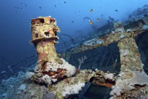 Red Sea Dive Sites Drucke: Aida, wreck, deck superstructure