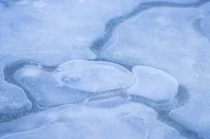 Air Bubbles In Ice Drucke: Air bubbles in ice