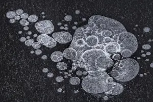 Winter Wetland Scene Drucke: Air Bubbles in the ice, abstract
