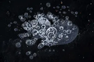 Central Europe Wintry Atmosphere Drucke: Air bubbles in the ice, Bottrop