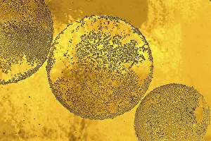 No People Waterfront Scenery Drucke: Air and oil bubbles inside water base form patterns