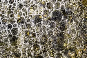 Austria Winter Landscape Drucke: Air pockets, air bubbles and structures in ice