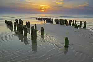 Long Exposure Coastal Photography Drucke: Algae-covered groynes at sunset on the beach of Rantum