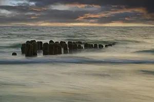 Long Exposure Coastal Scene Drucke: Algae-covered groynes at sunset on the beach of Rantum