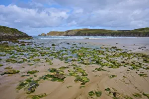 UK Seaside Photography Drucke: Algae and rocks dot the sandy beach overlooking the sea