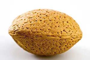 Indoor Studio Photography Drucke: Almond nut