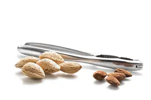 Deciduous Tree Nuts Drucke: Some almonds (Prunus dulcis) in shell against a white background
