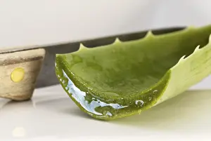 Natural Healing Remedies Drucke: Aloe vera