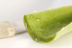 Natural Medicine Drucke: Aloe vera