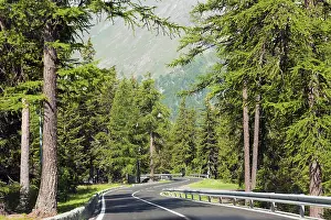 Deserted Road Drucke: Alpine road through the forest