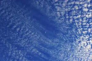 Crescent Moon Drucke: Altocumulus clouds with crescent moon