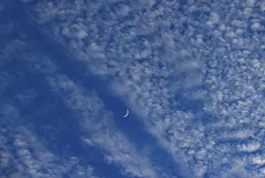Crescent Moon Drucke: Altocumulus clouds with crescent moon