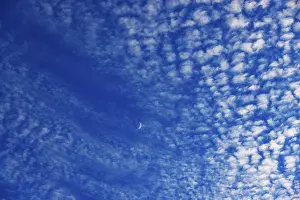 Crescent Moon Drucke: Altocumulus clouds with crescent moon
