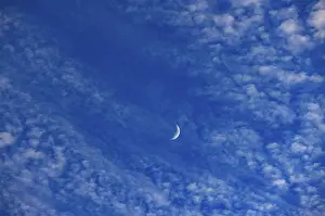 Crescent Moon Drucke: Altocumulus clouds with crescent moon