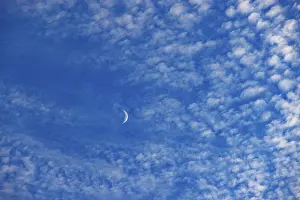 Cirrocumulus Cloud Types Drucke: Altocumulus clouds with crescent moon