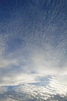 Nice Weather Cumulus Humilis Cloud Drucke: Altocumulus clouds, Germany