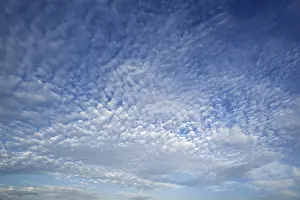 Nice Weather In Central Europe Drucke: Altocumulus clouds, Germany