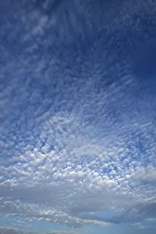 Cumulus Humilis Cloud Formations Drucke: Altocumulus clouds, Germany