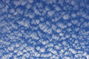 Cloudy Skies Austria Drucke: Altocumulus clouds, Upper Austria, Austria