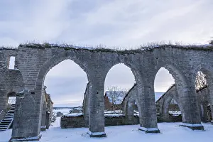 Cistercian Monastery Ruins Drucke: Alvastra Monastery ruins of the Cistercian oder