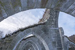 Monument Conservation Efforts Drucke: Alvastra Monastery ruins of the Cistercian oder