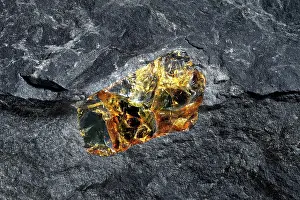 Semi Precious Stones Drucke: Amber, embedded in granite