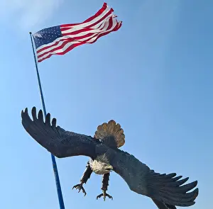 US National Colors Drucke: American Eagle, US Flag, Aberdeen