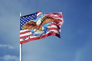 American Flag Drucke: American flag, eagle