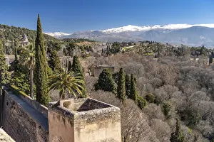 Empty Spanish Countryside Drucke: Andalusia, Spain