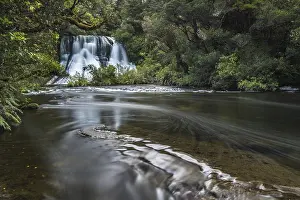 Jungle Waterfall Photography Drucke: Aniwaniwa Falls, Rainforest Waterfall