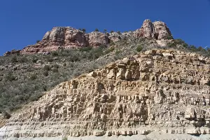 US Southwest Landscapes Drucke: Apache Sitgreaves National Forest