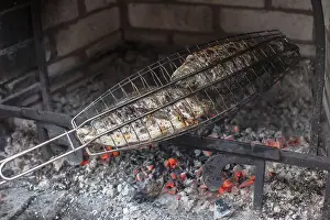 Grilled Seafood Drucke: Appetizing fish in a steel grid