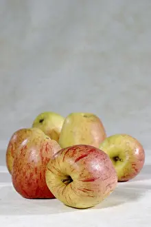 Apple Varieties Drucke: Apple Alantapfel