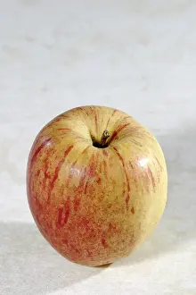 Apple Variety Drucke: Apple Alantapfel