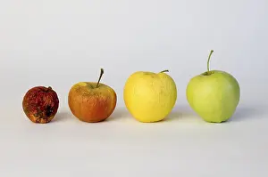 Symbolic Apple Image Drucke: Apple aplples