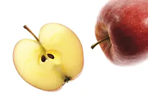 Apple Slice Nutrition Drucke: Apple and apple slice