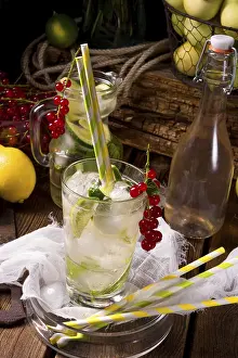 Exotic Fruit Drinks Drucke: Apple currant soda with lime
