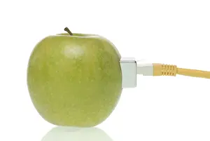 Studio Shot Of Apple Drucke: Apple with Lan-cable