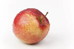 Red Apple Nutrition Drucke: Apple (Malus)